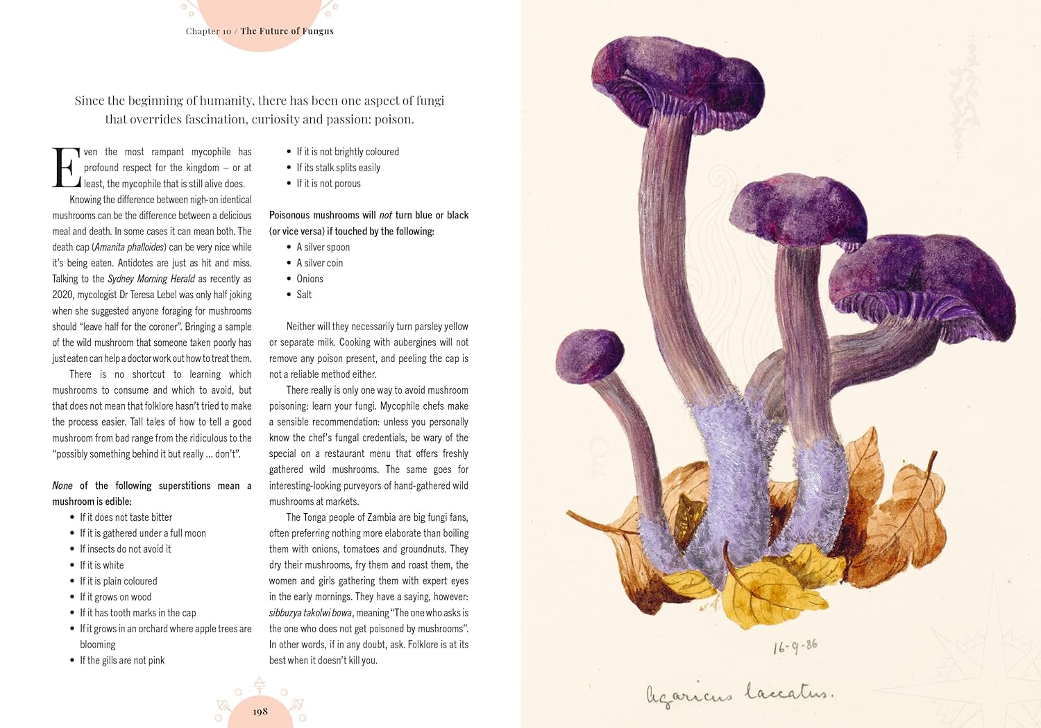 Kew - The Magic of Mushrooms : Fungi in folklore, superstition and traditional medicine