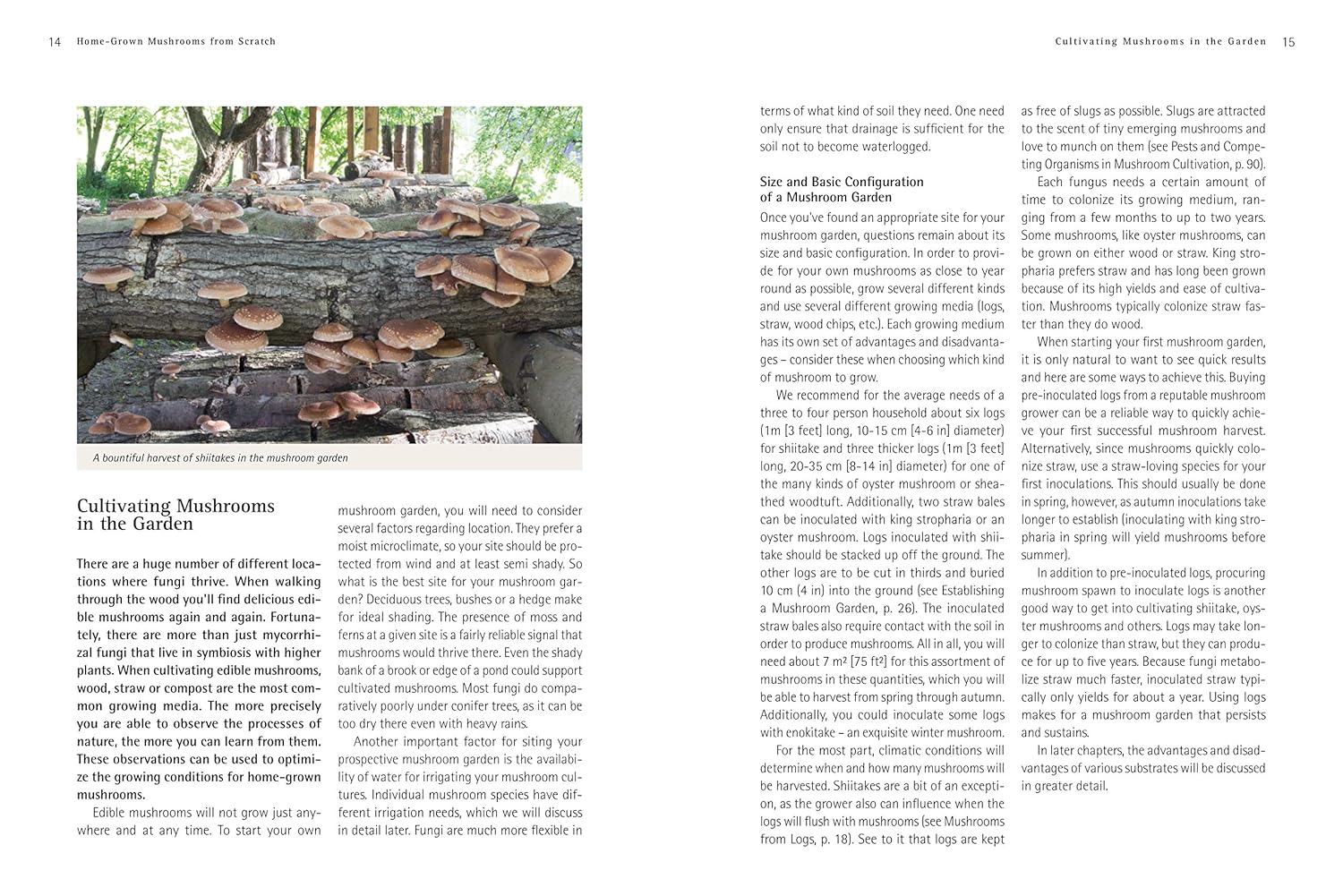 Pilze - Roger Phillips (Taschenbuch)