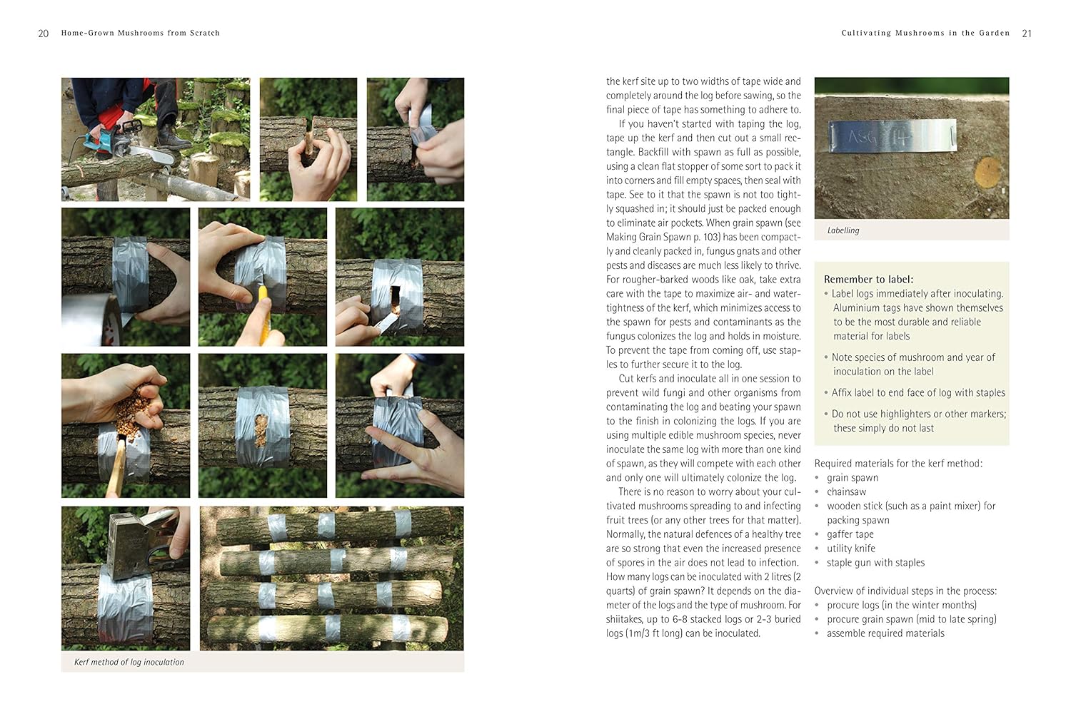 Pilze - Roger Phillips (Taschenbuch)