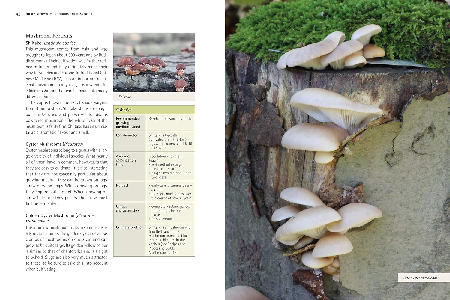 Pilze - Roger Phillips (Taschenbuch)