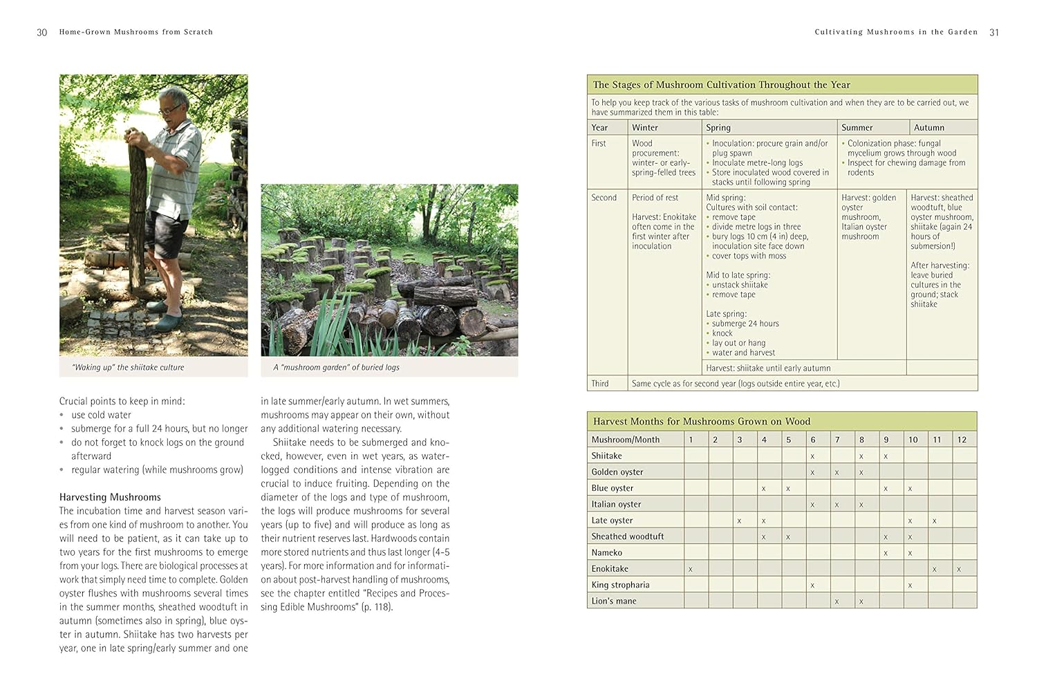 Pilze - Roger Phillips (Taschenbuch)