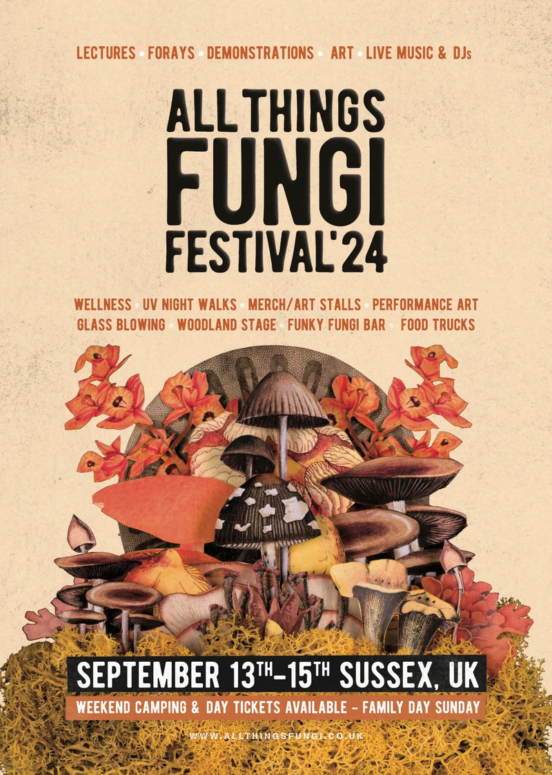 MycoPunks back as main sponsor of ATFF24