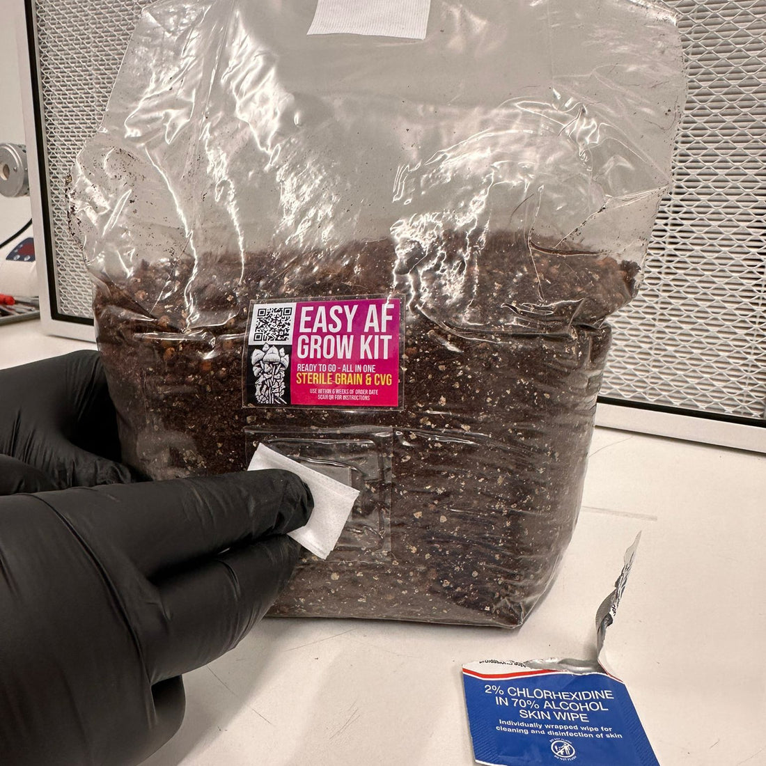 Wiping the injection port of the grow kit