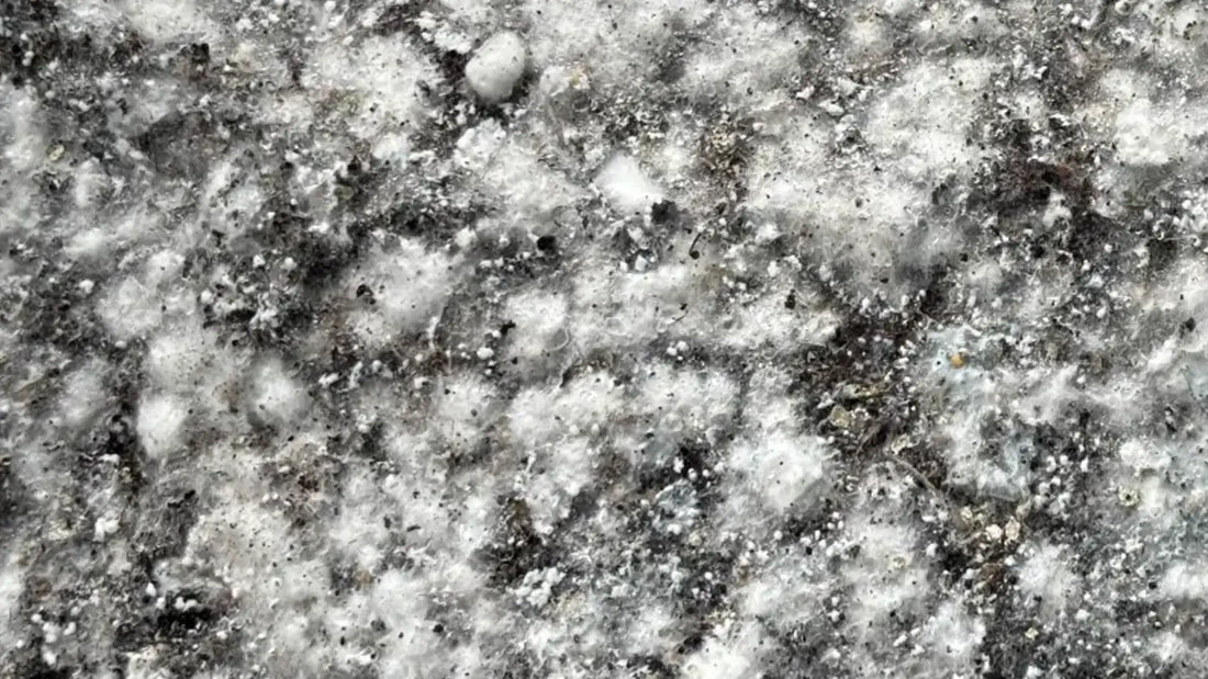 Step 14: Surface Conditions